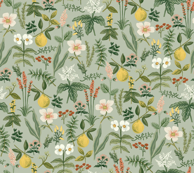 Rifle Paper Co. Herb Garden Sage Botanical Premium Peel + Stick Wallpaper