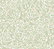 Rifle Paper Co. Elodie Cream Petite Floral Premium Peel + Stick Wallpaper