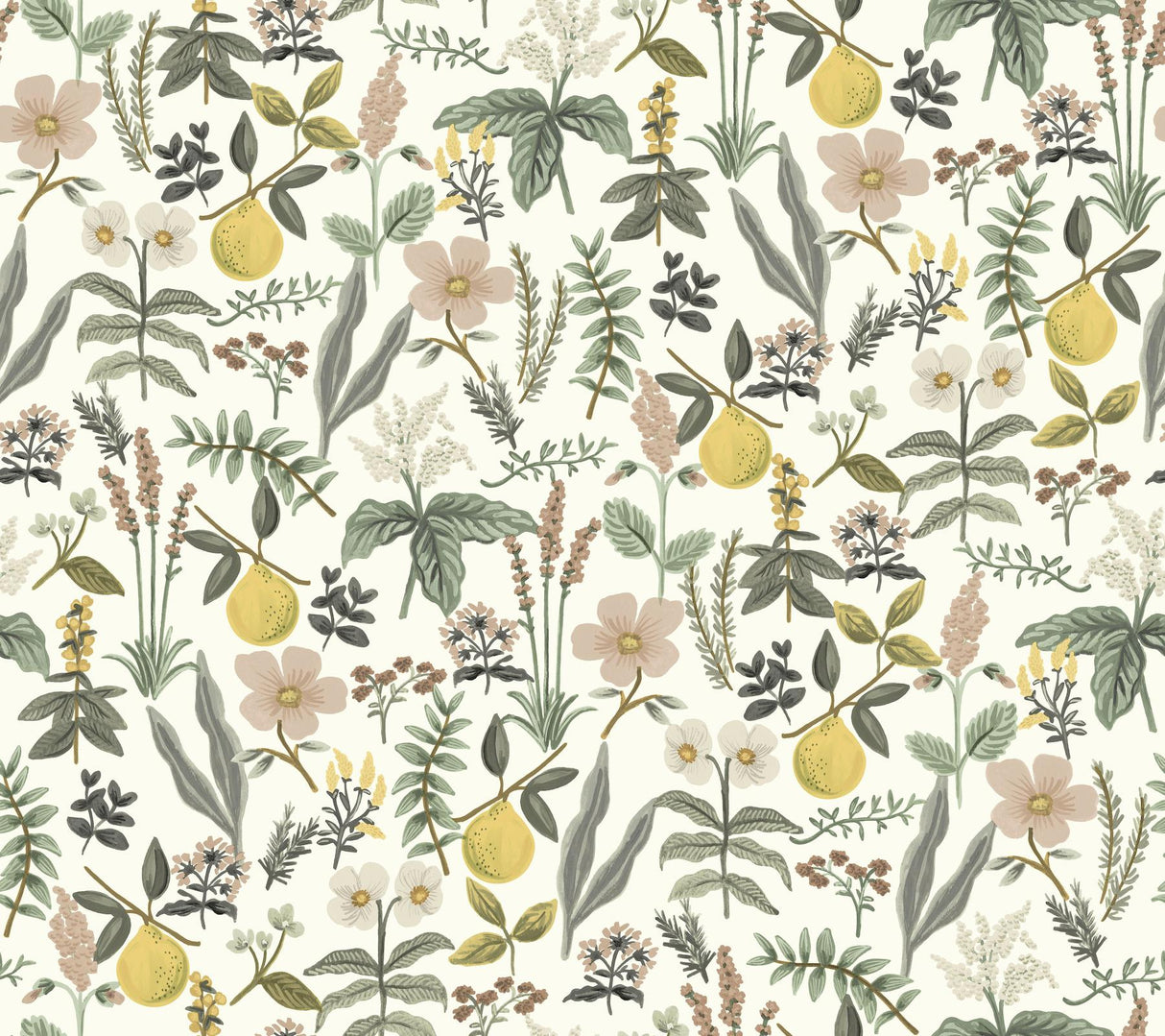 Rifle Paper Co. Herb Garden Cream Botanical Premium Peel + Stick Wallpaper