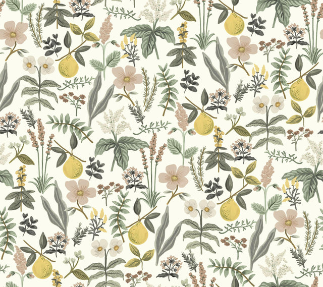 Rifle Paper Co. Herb Garden Cream Botanical Premium Peel + Stick Wallpaper