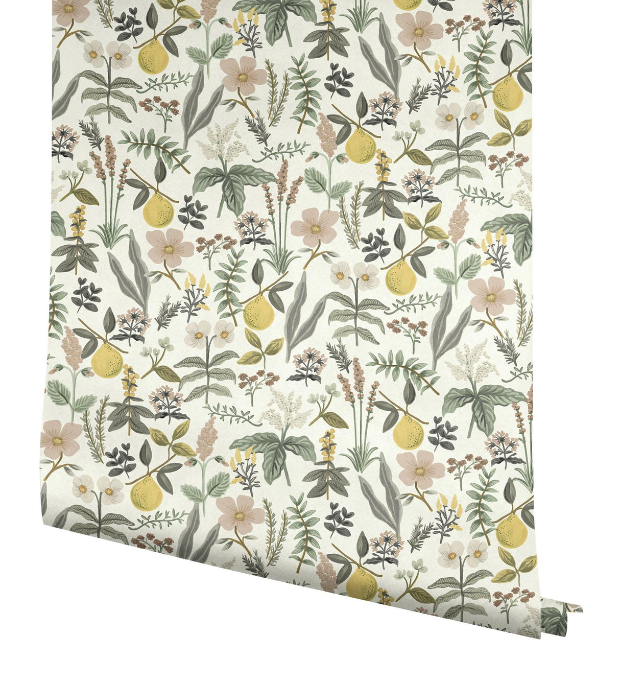 Rifle Paper Co. Herb Garden Cream Botanical Premium Peel + Stick Wallpaper