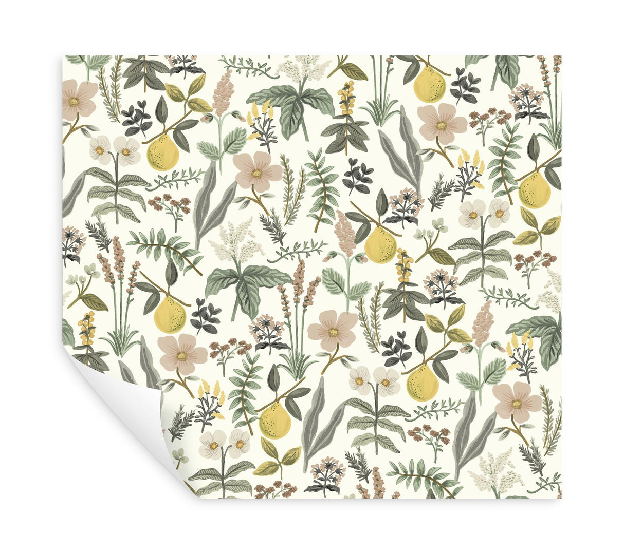 Rifle Paper Co. Herb Garden Cream Botanical Premium Peel + Stick Wallpaper