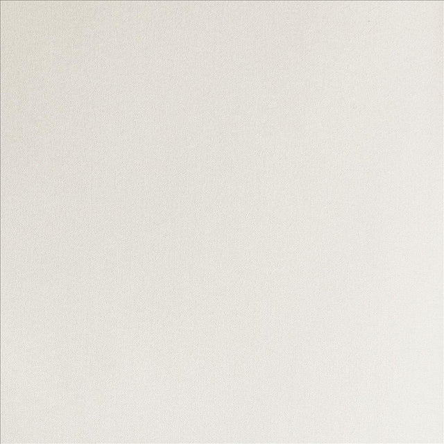 Kasmir Amboy Bone Fabric
