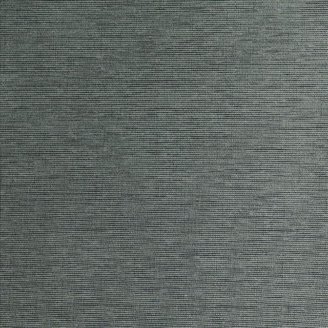 Kasmir Crook Steel Fabric