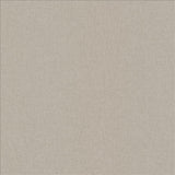 Kasmir Lights Out Beach Fabric
