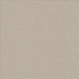 Kasmir Lights Out Driftwood Fabric