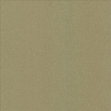 Kasmir Lights Out Olive Fabric