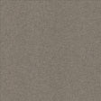 Kasmir Lights Out Slate Fabric