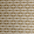 Kasmir Sun Coast Gold Fabric