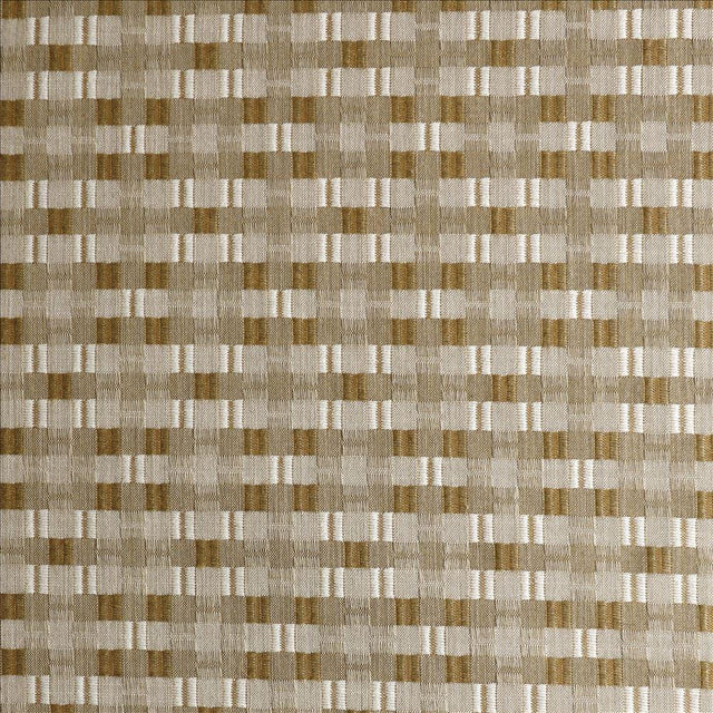 Kasmir Sun Coast Gold Fabric