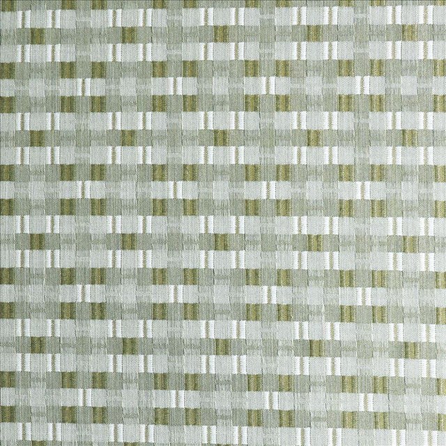 Kasmir Sun Coast Sage Fabric