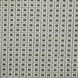 Kasmir West Park Fennel Seed Fabric