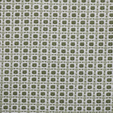 Kasmir West Park Fennel Seed Fabric