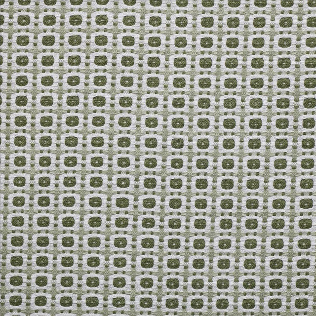 Kasmir West Park Fennel Seed Fabric