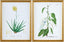 Livabliss Midsummer MIDS-002 17"H x 13"W x 1"D; 17"H x 13"W x 1"D Art