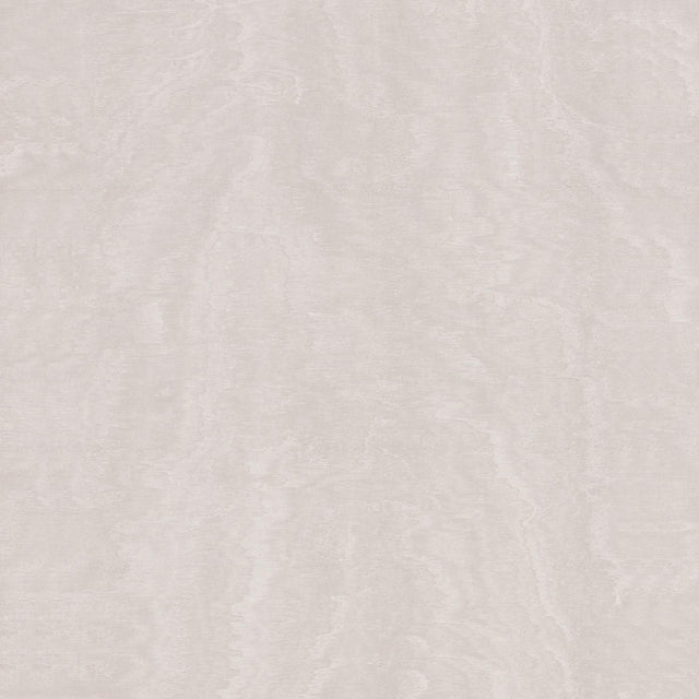 Antonina Vella Shimmering Moire Dove Wallpaper