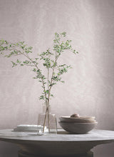 Antonina Vella Shimmering Moire Dove Wallpaper