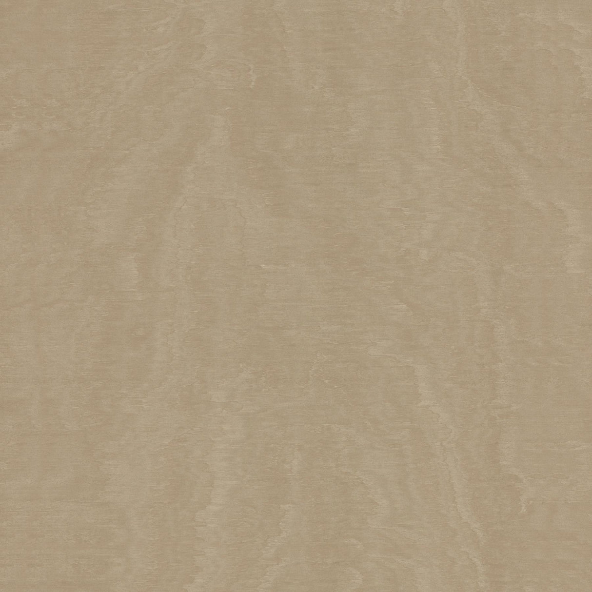 Antonina Vella Shimmering Moire Taupe Wallpaper