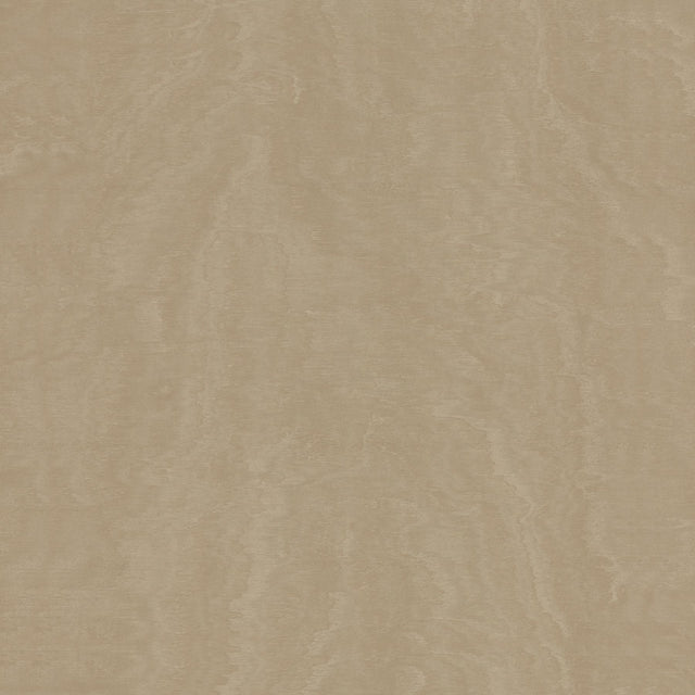 Antonina Vella Shimmering Moire Taupe Wallpaper