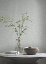 Antonina Vella Shimmering Moire Silver Wallpaper