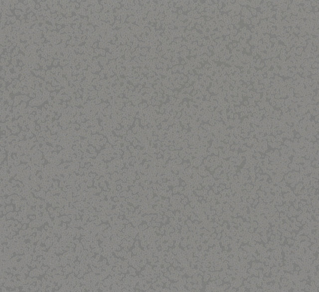 Antonina Vella Hudson Pewter Wallpaper