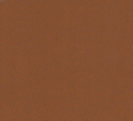 Antonina Vella Hudson Copper Wallpaper