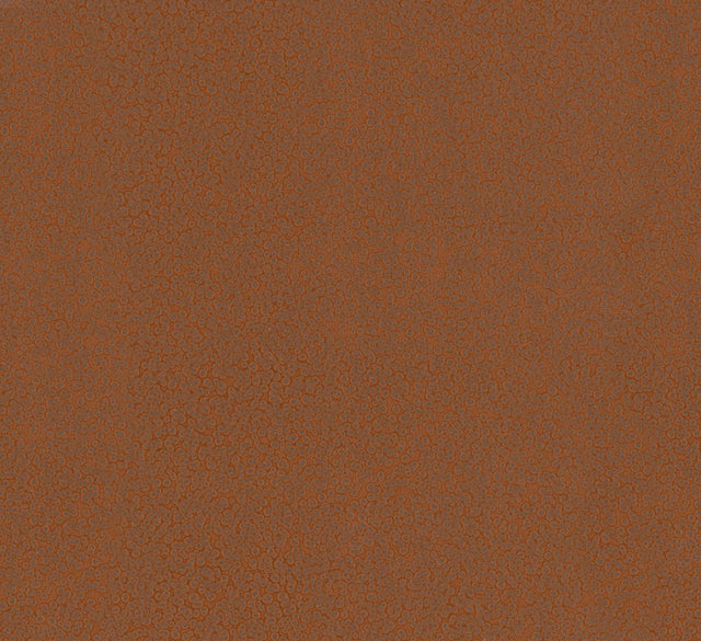 Antonina Vella Hudson Copper Wallpaper