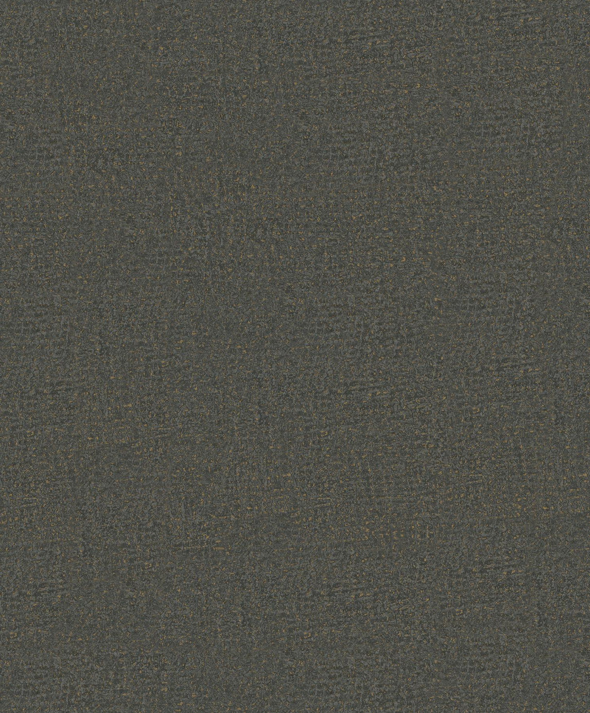 Antonina Vella Garden Stone Charcoal Wallpaper