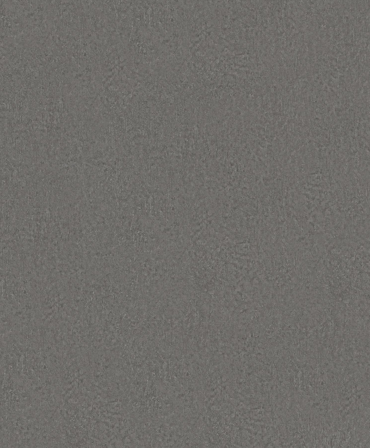 Antonina Vella Jemma Dark Grey Wallpaper