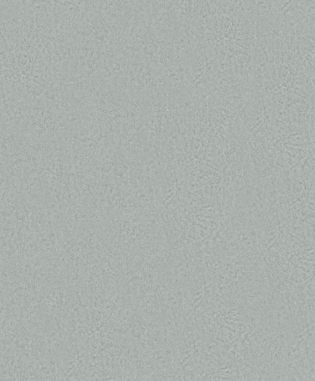 Antonina Vella Jemma Aqua Wallpaper