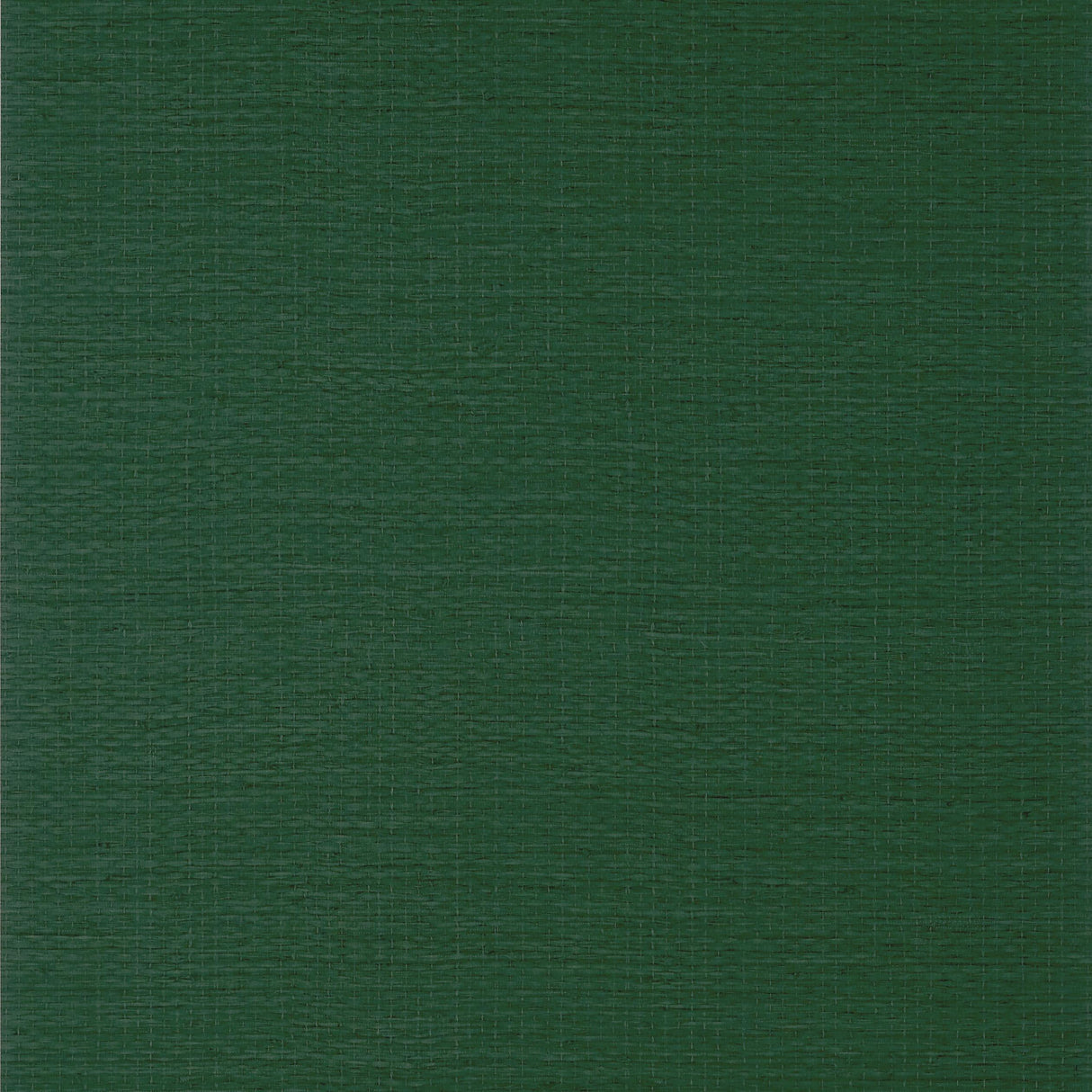 Thibaut Prairie Weave Wide Width Forest Green Wallpaper