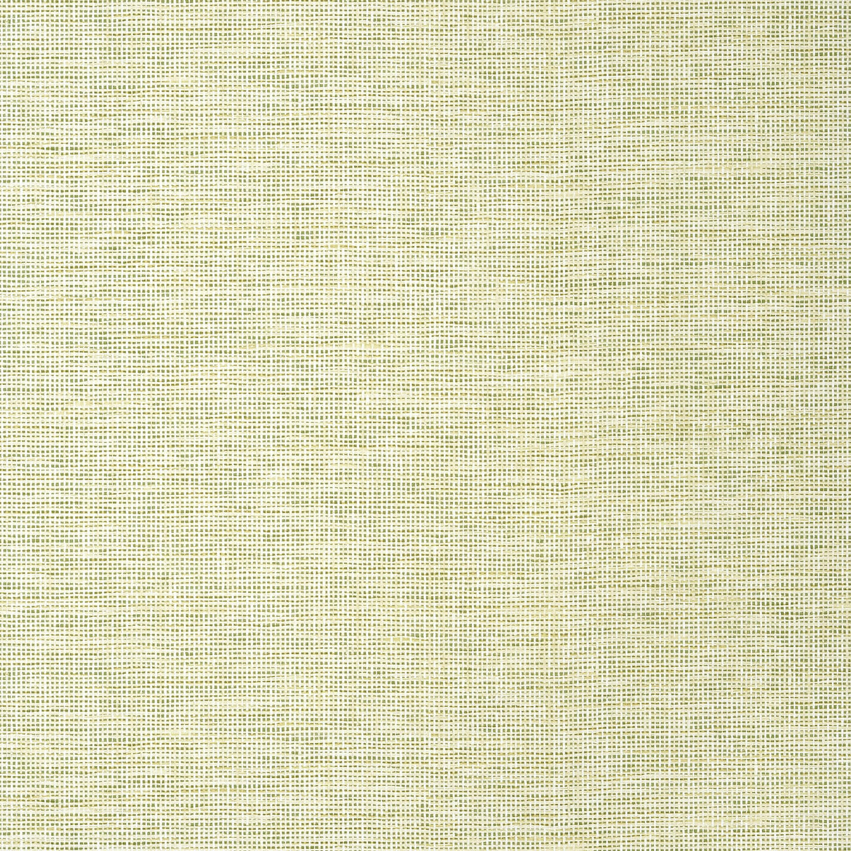 Thibaut Spiro Wide Width Spring Wallpaper