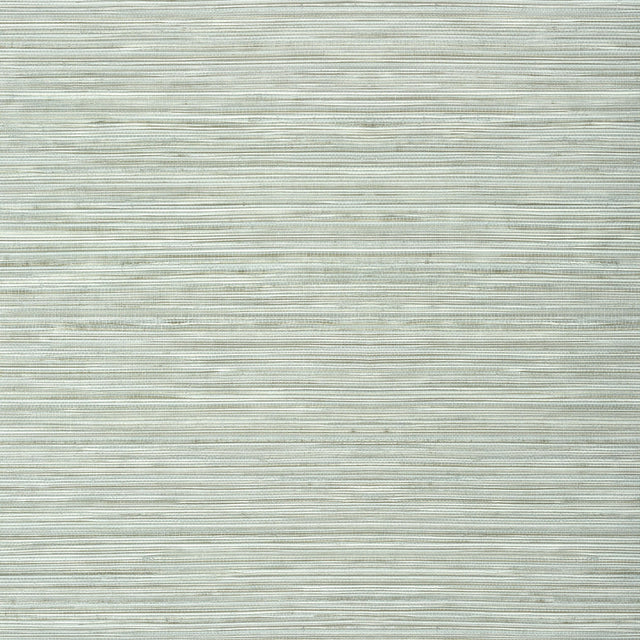 Thibaut Kendari Grass Wide Width Robin'S Egg Wallpaper