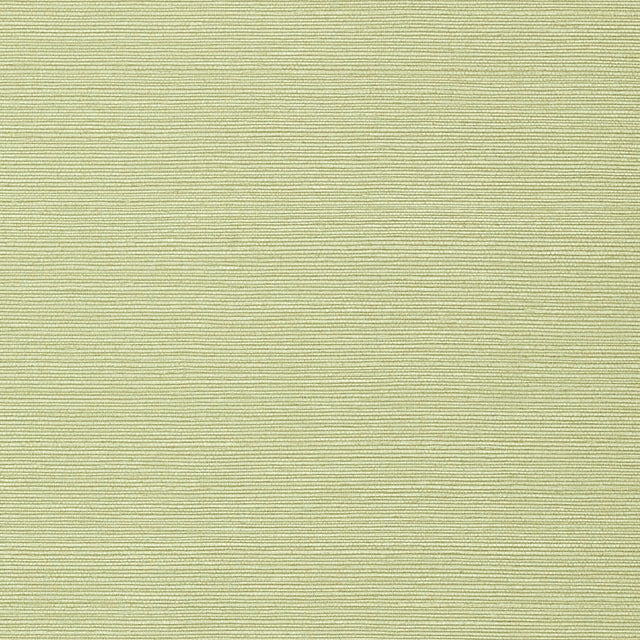 Thibaut Taluk Sisal Wide Width Willow Wallpaper