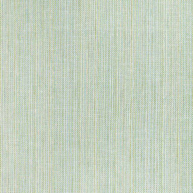 Thibaut Jasper Whirlpool Fabric