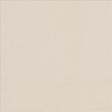 Kasmir Reside Rice Paper Fabric