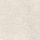 Kravet REBOOT LIMESTONE Upholstery Fabric