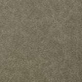 Kravet REBOOT CROCODILE Upholstery Fabric