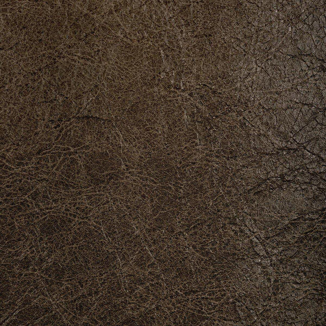 Kravet REBOOT WALNUT Upholstery Fabric