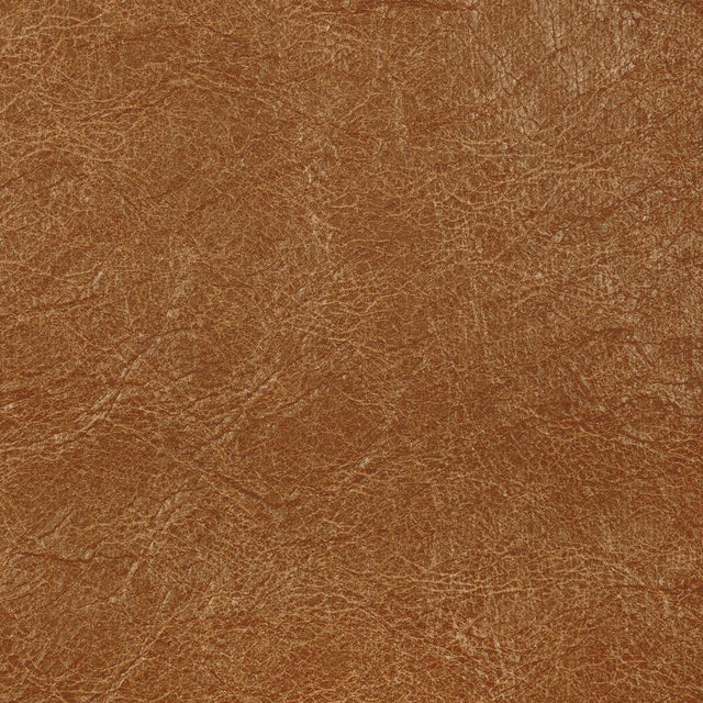 Kravet REBOOT BUCK Upholstery Fabric