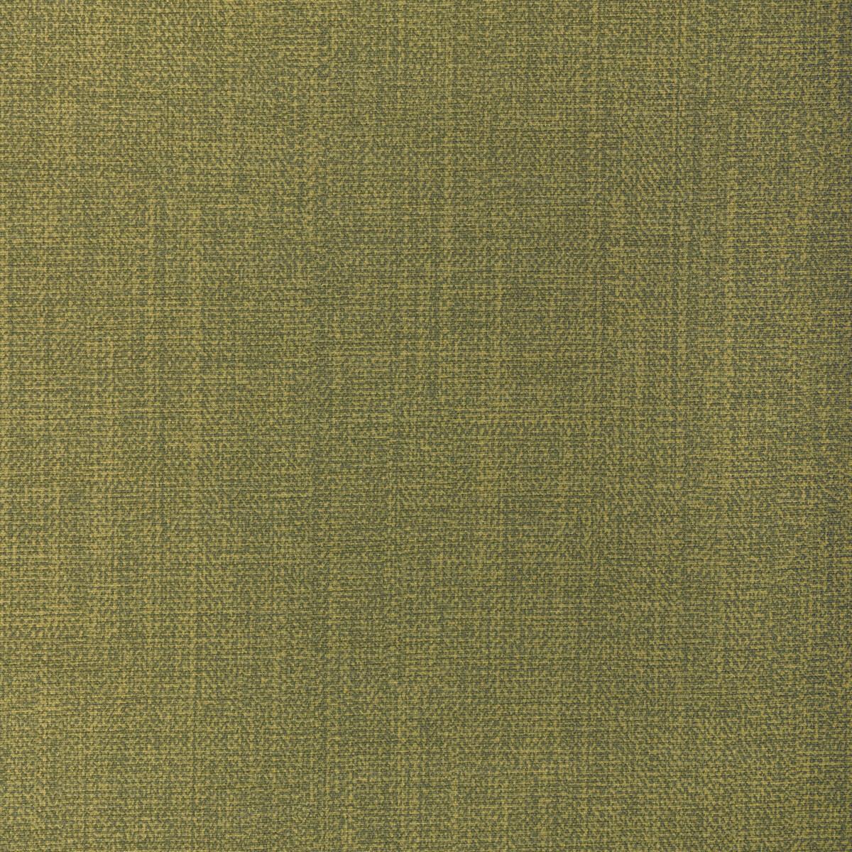Kravet REMIX CACTUS Upholstery Fabric