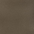 Kravet RESET IRON Upholstery Fabric