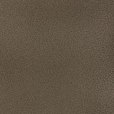 Kravet RESET IRON Upholstery Fabric