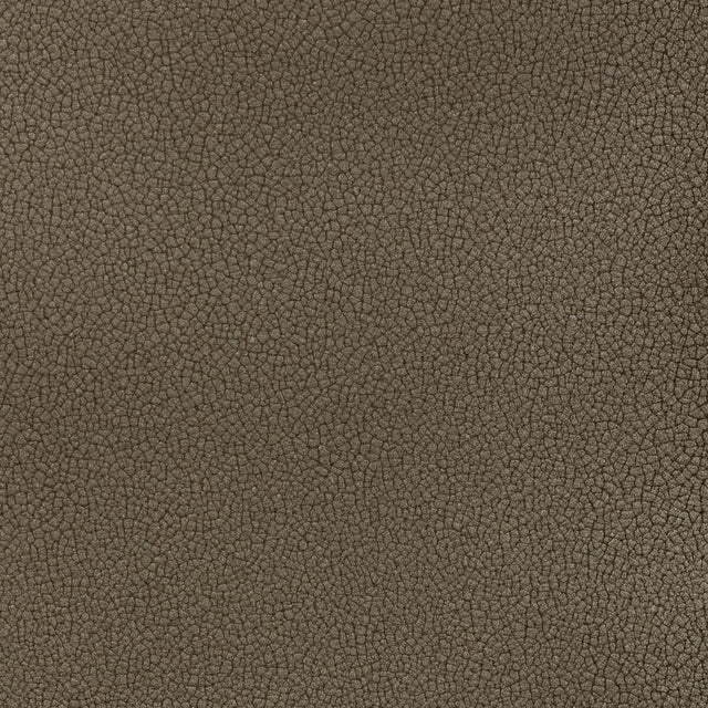 Kravet RESET IRON Upholstery Fabric