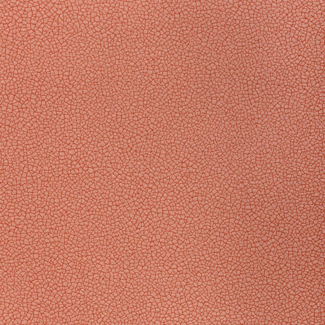 Kravet RESET DOGWOOD Upholstery Fabric