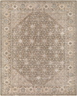 Livabliss Arda ACZ-2313 12' x 15' Machine Woven Rug