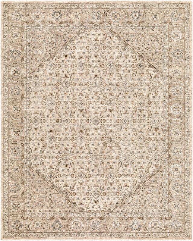 Livabliss Arda ACZ-2315 12' x 15' Machine Woven Rug