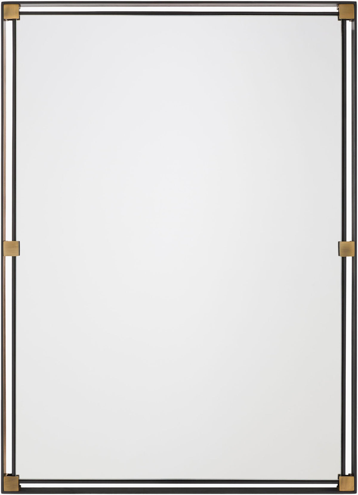 Surya Casimir CASI-002 42"H x 30"W x 1"D Mirror