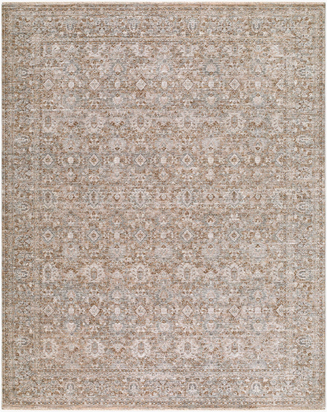 Livabliss Demre DMM-2300 10' x 14' Machine Woven Rug