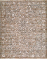 Livabliss Demre DMM-2303 10' x 14' Machine Woven Rug